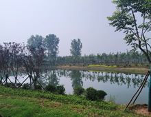 新城区白龟湖森林半岛